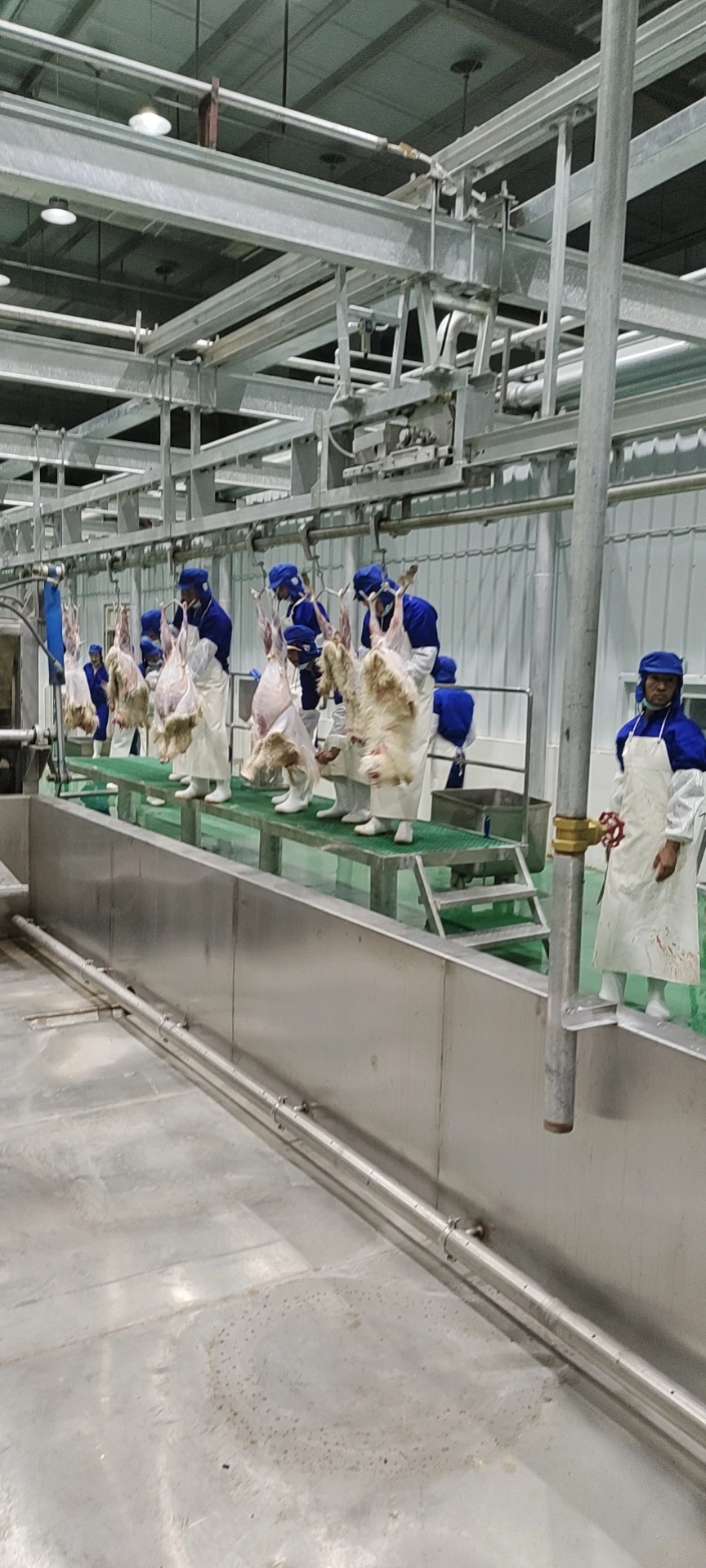 Advanced fully automatic sheep slaughtering production line equipment, steel slaughterhouse equipment for halal meat processing