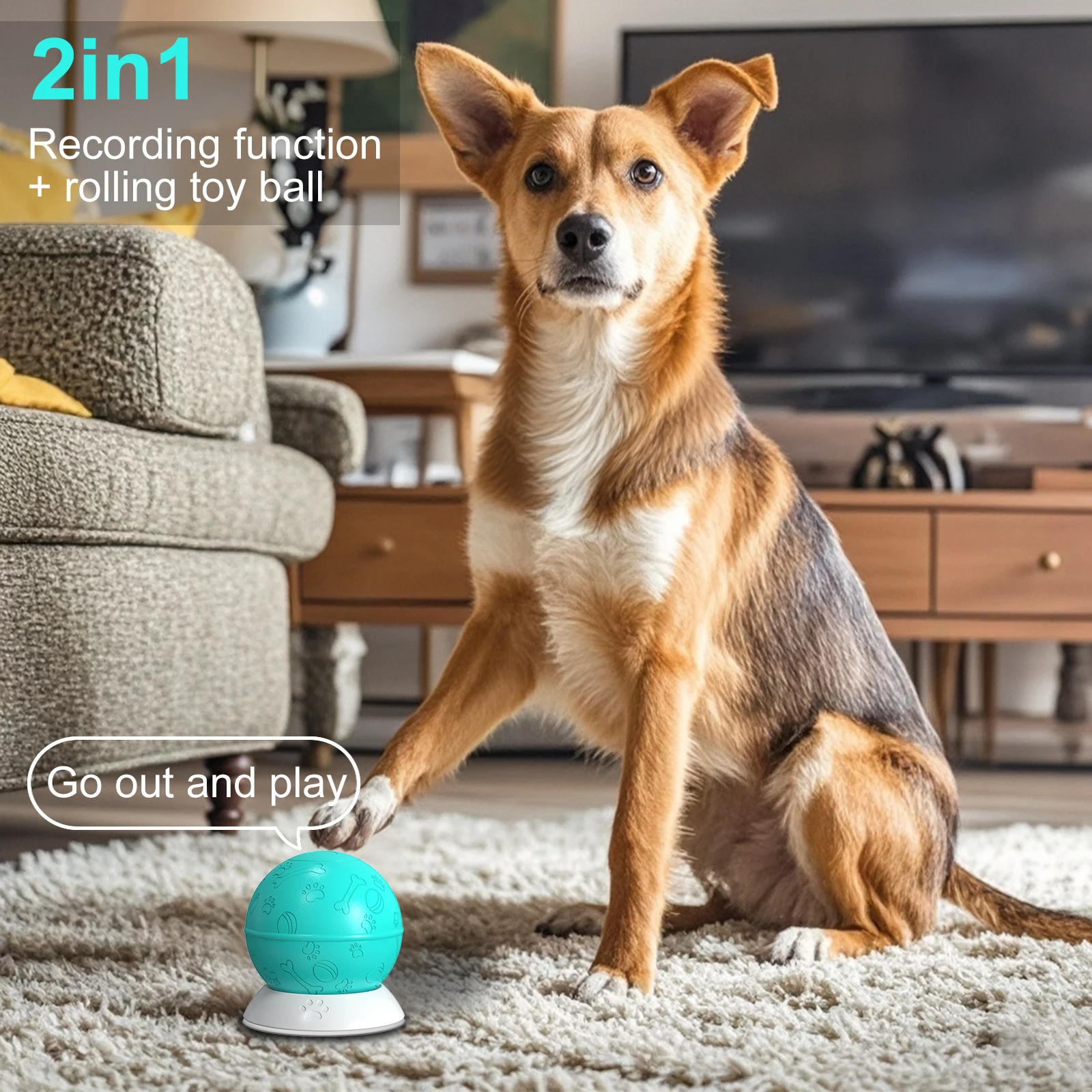 Robust Self-Rolling Plastic Ball Toy Fashionable Interactive Pet Sex Toy for Cat and Dog Play