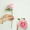 rose foncé