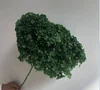 Verde nerastro