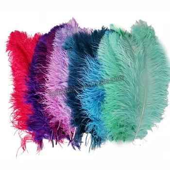 White Natural Plume Ostrich Feathers for Party Carnival Home Wedding Centerpiece Christmas Vase Holiday Decor DIY Craft Floral