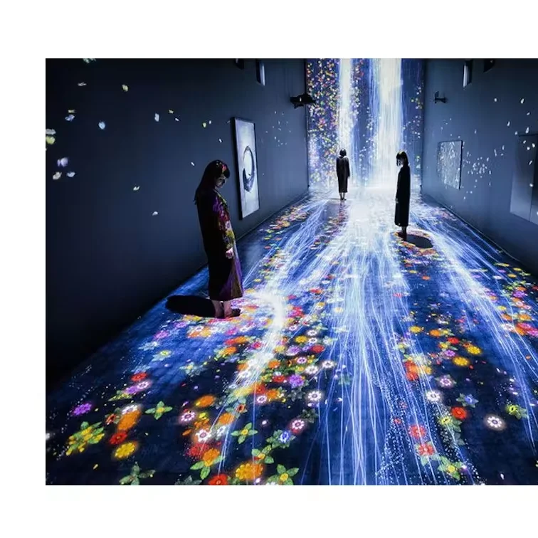 プロジェクターマッピング 日本一の星空×プロジェクションマッピング「天空の楽園 Winter Night