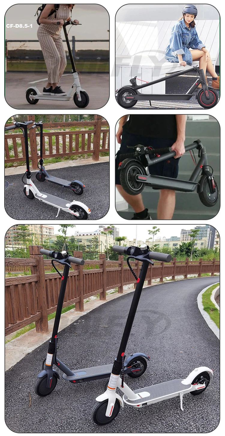 Wholesale 250w Electric Scooter 350w 48v 36v With Brushless Motor - Buy ...