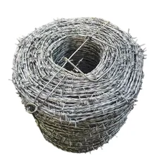 high quality hot dipped galvanized barbed wire spike no rust