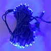 Blue  5MM 24ft 70Ct 4'' Spacing-Pe-balled