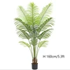 green Type D 160cm
