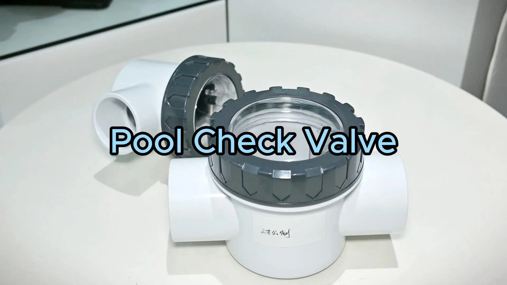 Factory Abs Pool Check Valve Pool Accessories 1.5inch 2.0inch