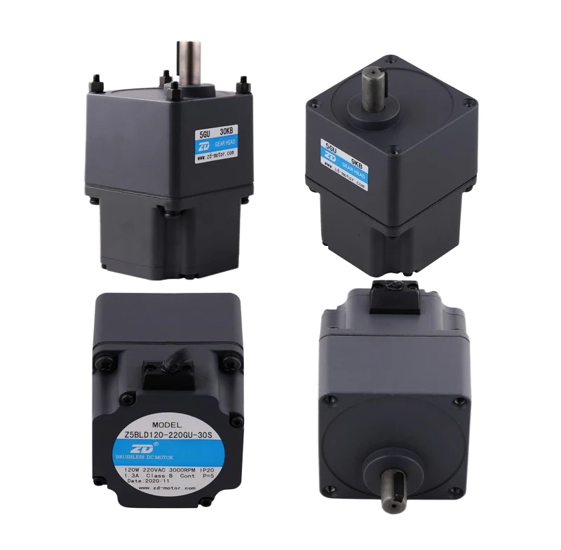 6W Constant Speed Electric BLDC Brushless DC Gear Induction Motor 110V 220V 24V for Fan Robot Pump Machine Boat Servo Motor