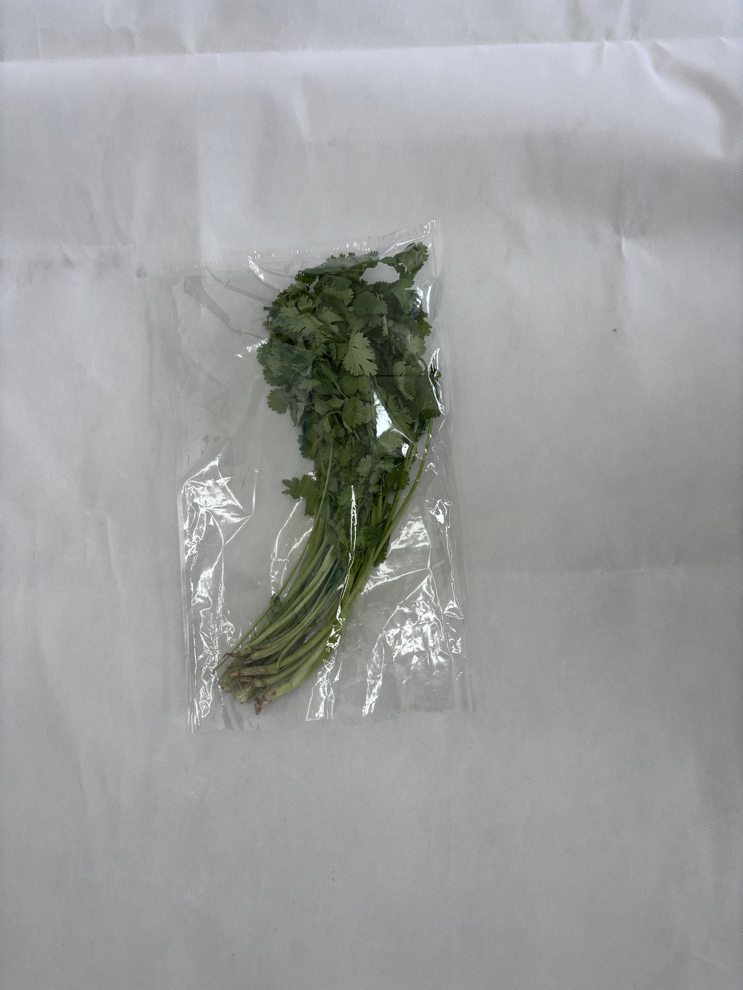 Can Extend the Fruit and Vegetable Preservation of Plastic Food Bag Selection of Gas Through the Film Food Bag