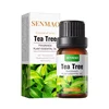 Aceite de árbol de té