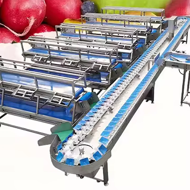 Plum Grading Machine Fruit Sorting Machine Fruit Sorter Prunes Sorting Size Machinery