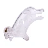 transparente