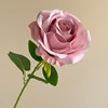 03-Rosa apagado