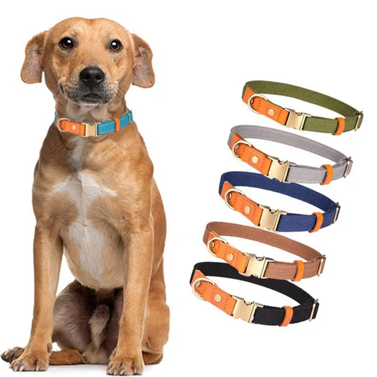 best selling dog leash