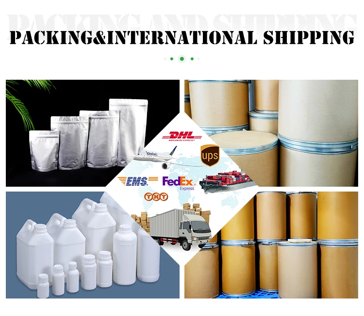 Shellbroken Herbal Lingzhi Ganoderma Spore Powder Plant Extract