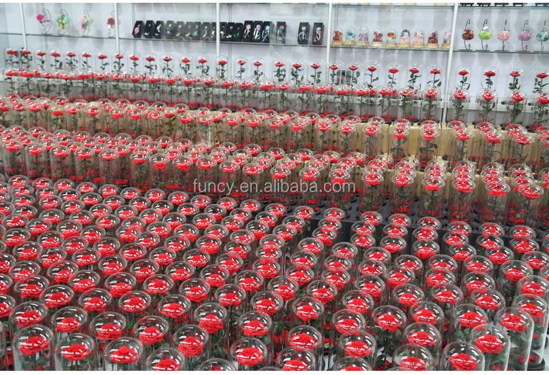 Factory Wholesale Valentine's Day Christmas New Year Glass Dome Preserved Forever Roses Enchanted Belle Gift Box