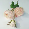 Rosa claro