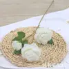 Peonia bianca a tre teste