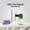 Lavanda