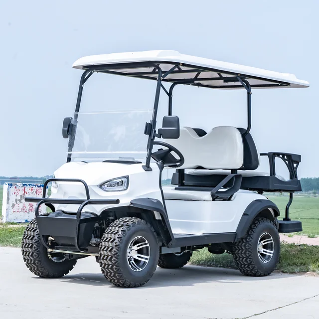 2 Passenger Electric Golf Carts Cheap Prices Buggy Car for Sale Chinese Club Pakistan Retro Remote Adult Golf Cart