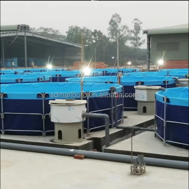 collapsible fish holding tanks Rain Barrel & Portable Water Storage Tank, 1000L Circular Canvas Pond for Above Ground Pool, Outdoor Swimming Pool (Blue, 1.2x0.9m) : Pet Supplies 8000L PVC Tilapia Grouper Farming