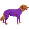 Four-leg stretch sexy purple dress