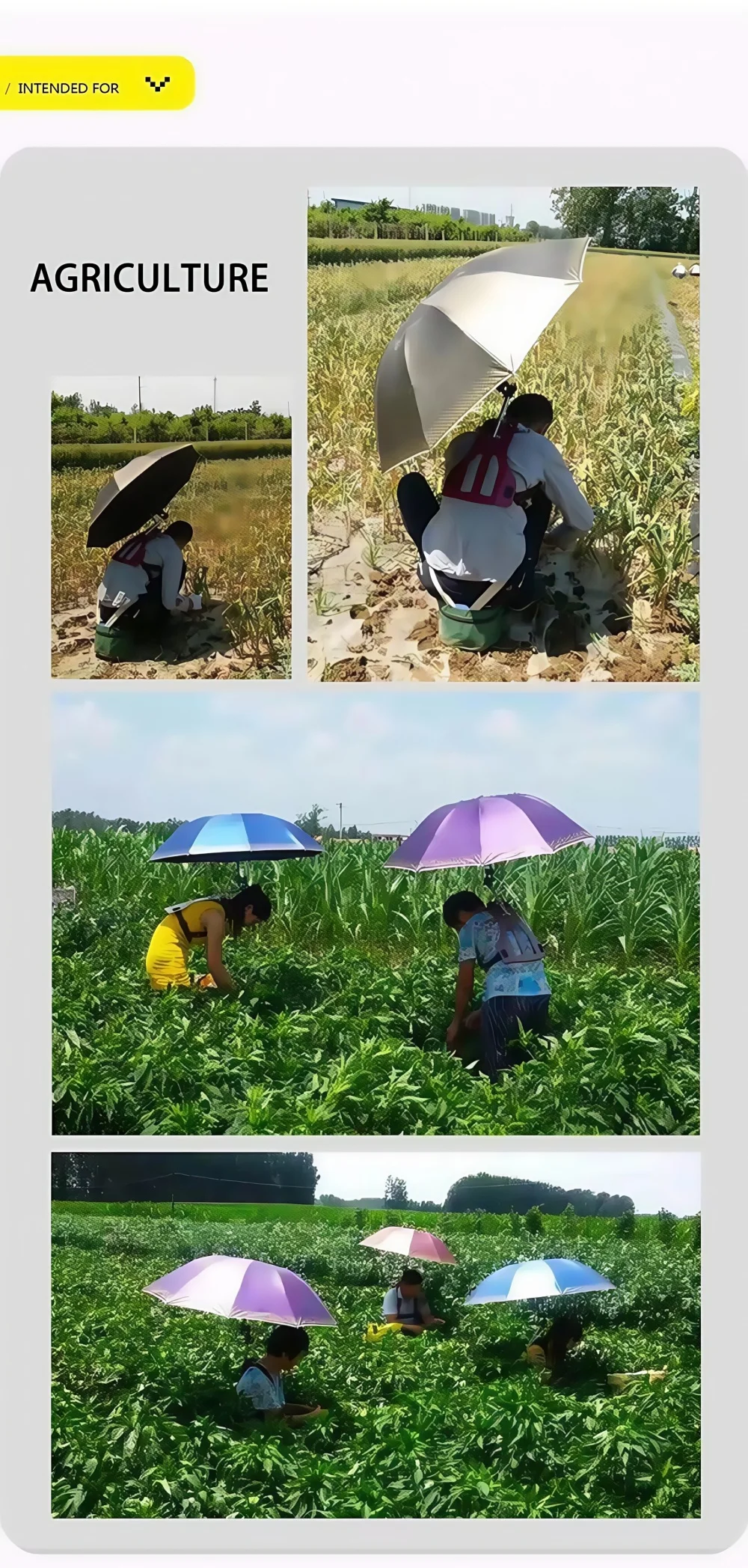 rain umbrellas for tea picking farming  fishing-6
