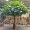 Banyan verde