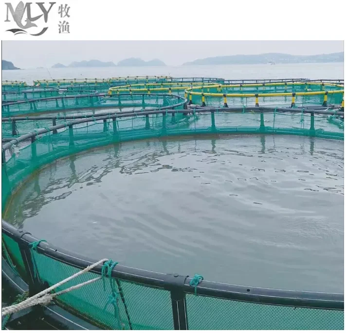 Hot Sell Fish Trap Net Cage Tilapia Fish Farming Nets Hdpe 2mm40mm