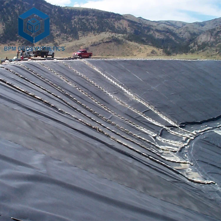 Industrial Design Style HDPE Waterproof Geomembrane Plastics Membrane from Guangdong for Sale