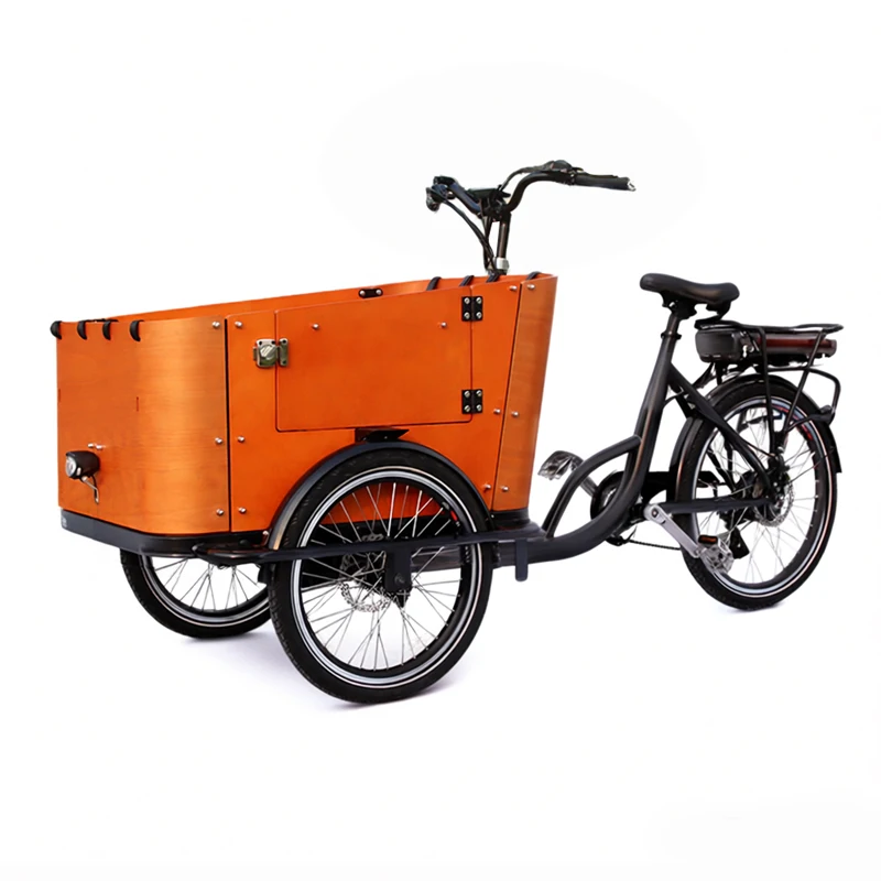 オランダ大人用三輪チャイルドシートフロントローディング3輪電動