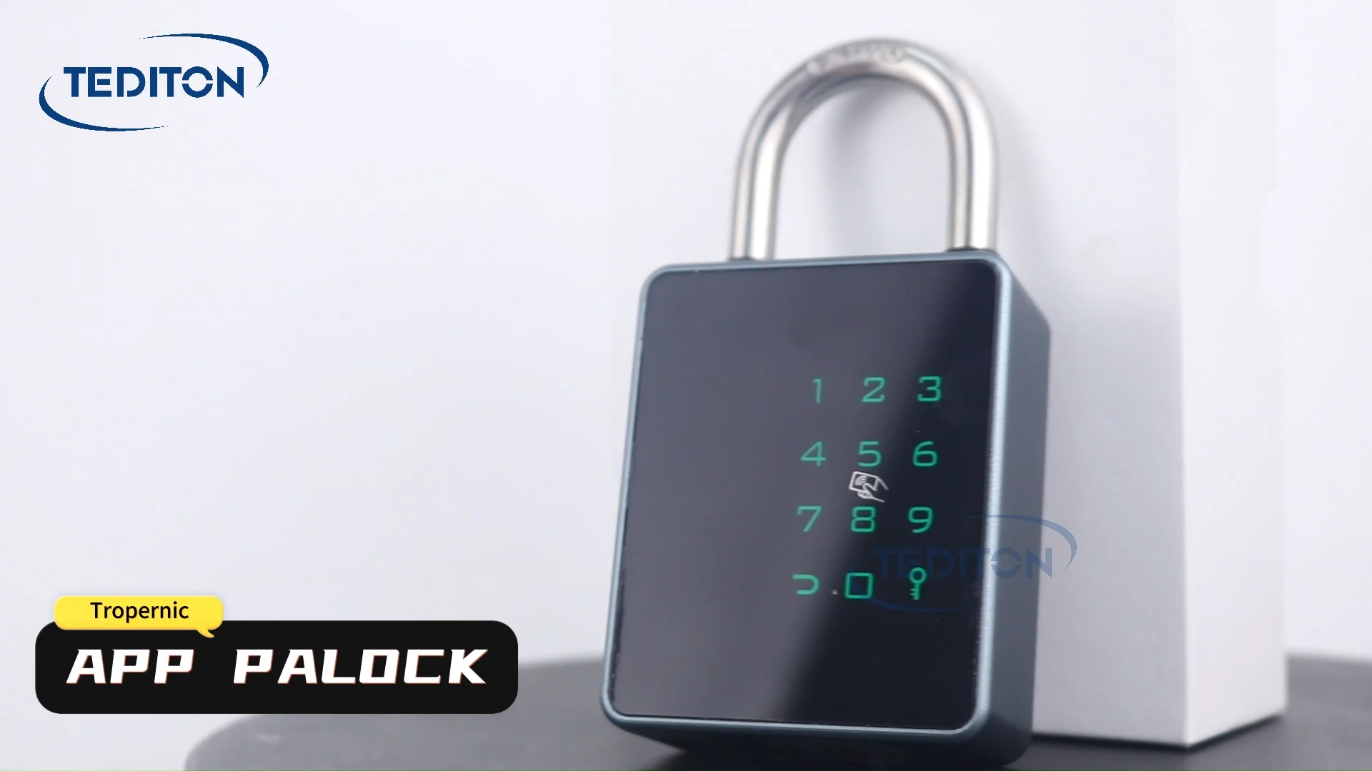 Tediton Ip65 Security Intelligent Digital Smart Ttlock App Electronic