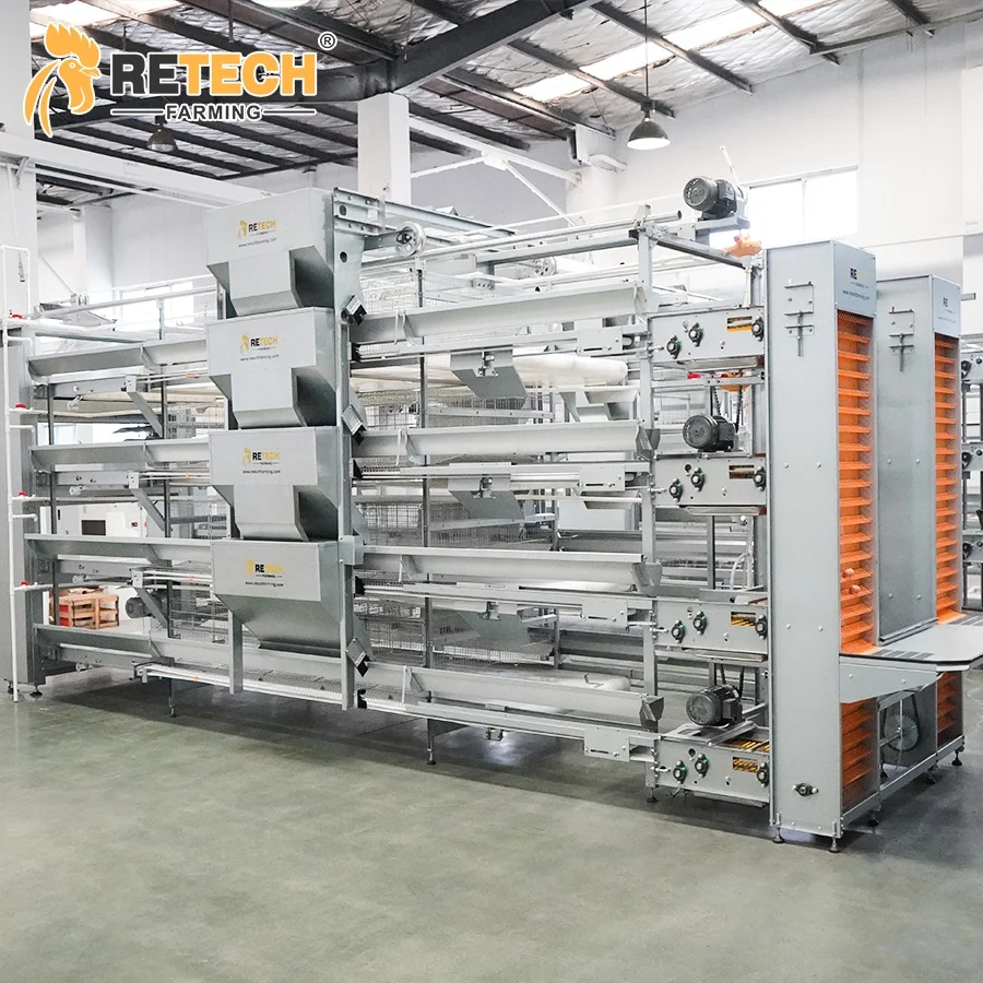 Automatic H Type Poultry Cages for Layer Chickens for 50000 Birds