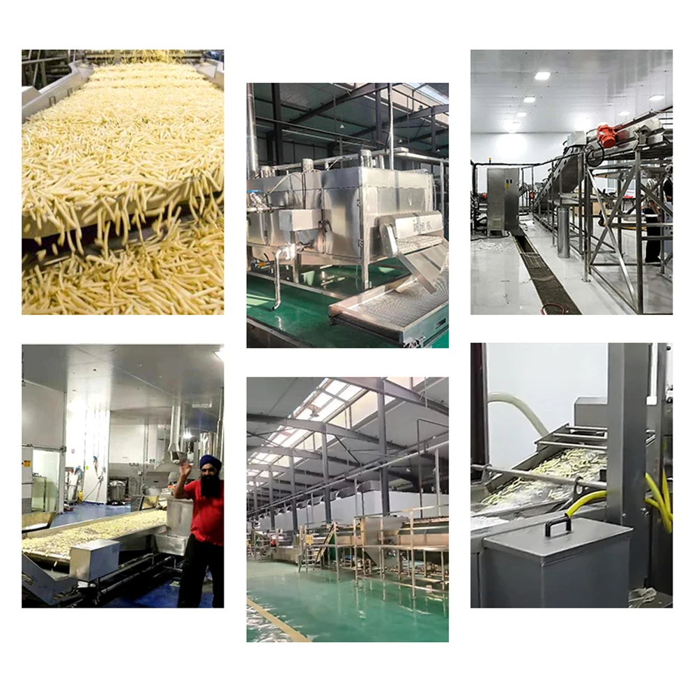 TCA Fully Automatic Frozen French Fries Processing Line French Fried Potatoes Equipment Making Machine