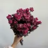 Rosa roja