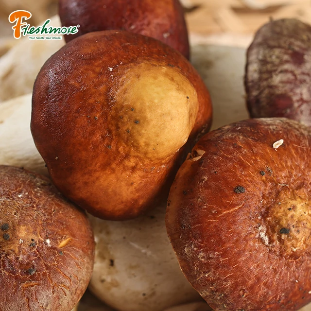 Finc Fresh Mushroom Butan Fresh Matsutake Pine Mushroom Buy Fresh