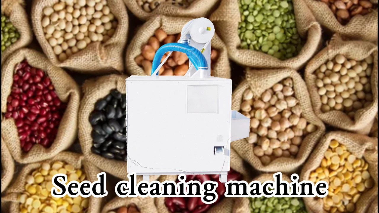 Professional Sesame Seed Cleaning Machines Soybeans Impurity Removing