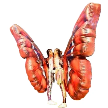 Hot-sale girl adults beautiful performance use costume inflatable wing for party/club/stage