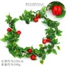 Red bell pepper vines (large fruit)