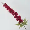สีแดง