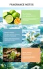 Aromatico Acquatico