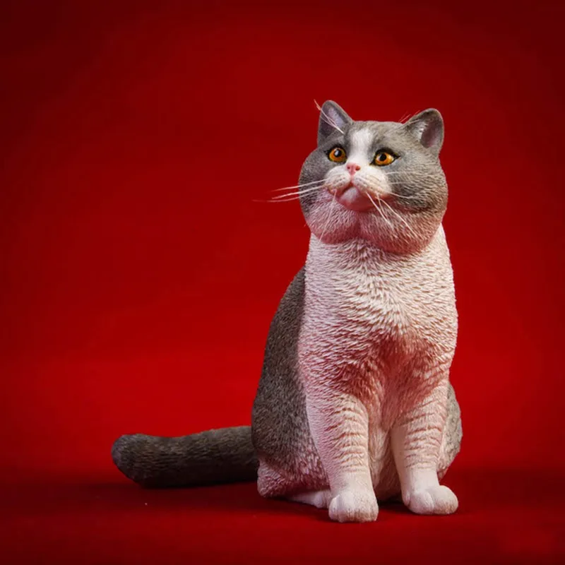 SAFIGLE Figurine Chat British Shorthair – Orange – Plastique Réaliste – Décoration Et Jouet Éducatif