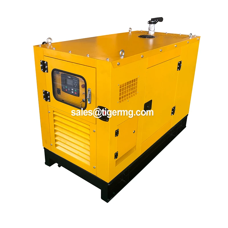 250Kva Single Phase Diesel Generator with Remote Start Air Cooled & Copper Radiator Competitive Price