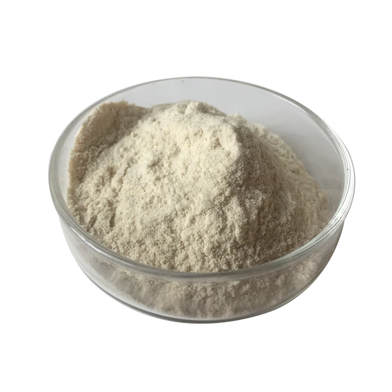 Anti-allergic100 миллиарда КОЕ/г Lactobacillus Reuteri здоровья человека для пищевых продуктов