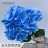 Hortensia de cinco cabezas H azul medio