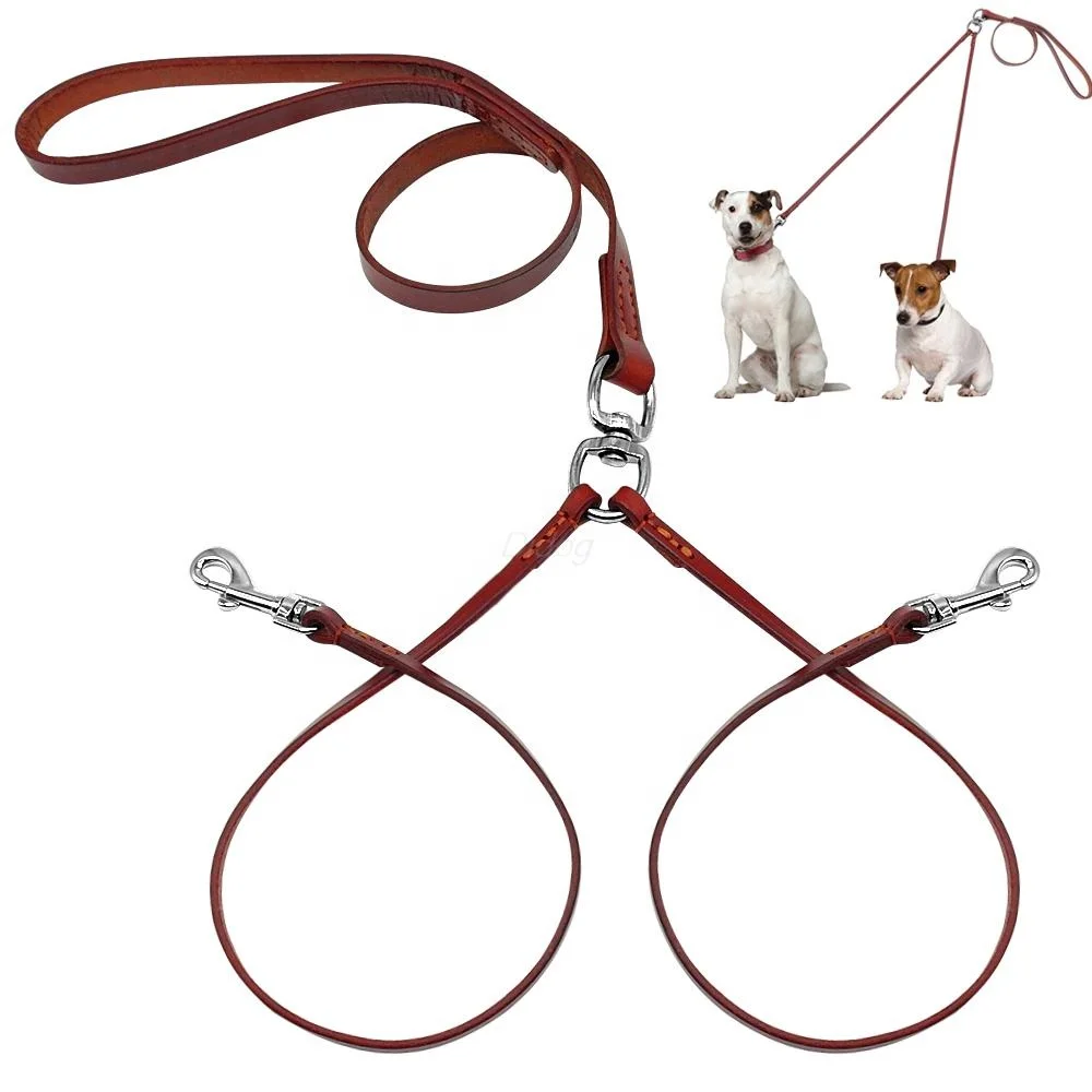 dog leash for two small dogs