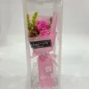 Rosa B