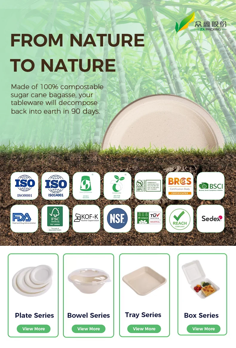 ZX Packing Biodegradable Packing - Sugarcane Bagasse Plates