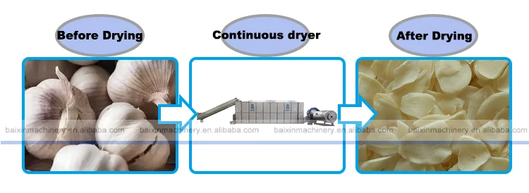 Garlic and Ginger Onion Dryer Machine Carrot Drying Equipment