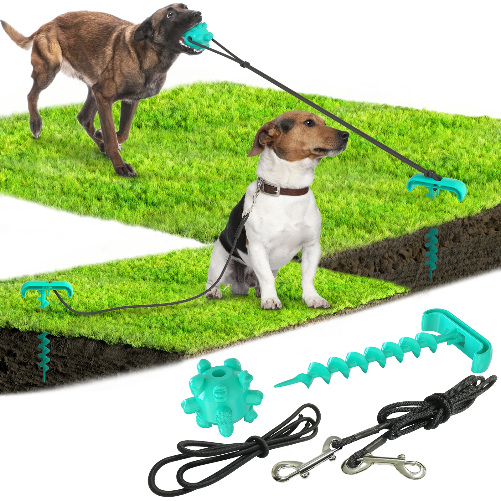 dog toy that sticks to ground